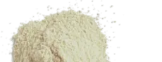 Ashwagandha in powder form.
